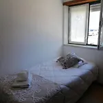 Apartment - Casa Estelas *